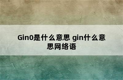 Gin0是什么意思 gin什么意思网络语